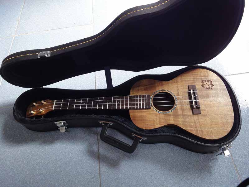 Dọn nhà - Sang shop : Thanh lý Đàn ukelele - guitar - manocanh- Cáo trơn giá cực rẻ
